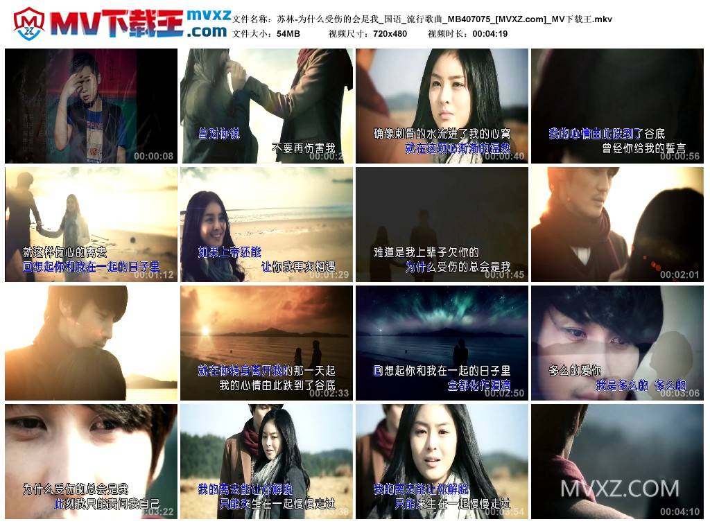 苏林-为什么受伤的会是我_国语_流行歌曲_MB407075